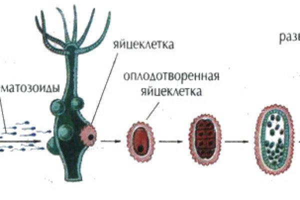 Kraken ссылка на сайт актуальная