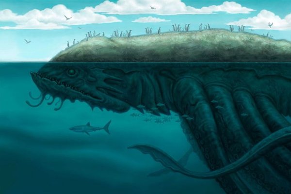 Kraken площадка
