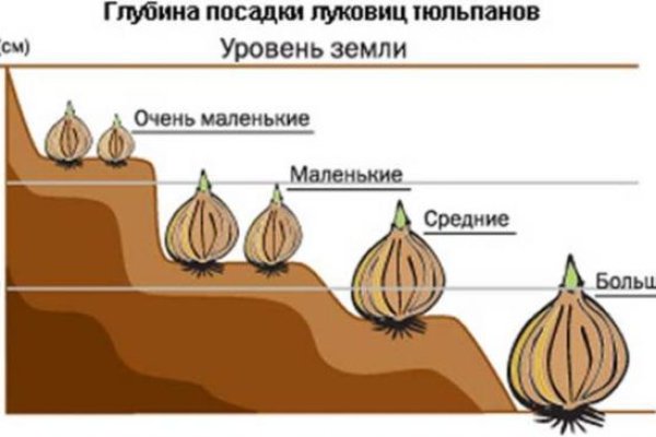 Сайт кракен тор