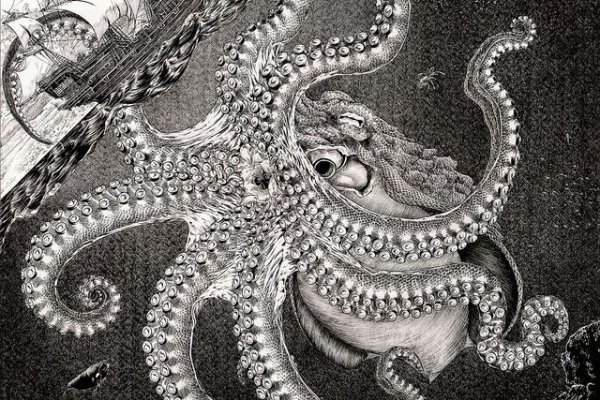 Kraken 19 at