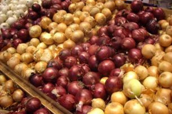 Даркнет официальный сайт на русском