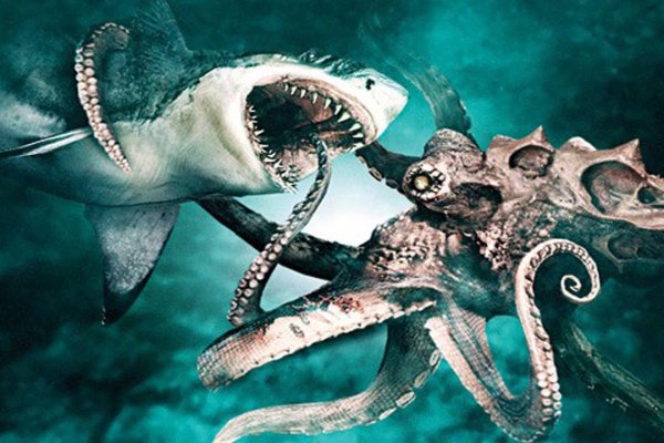 Kraken tor link