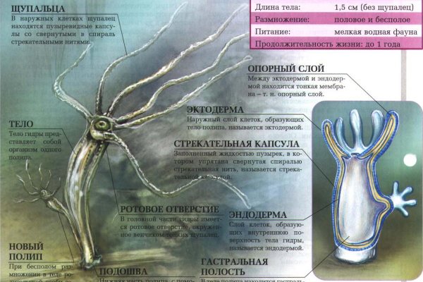 Дарк нет кракен