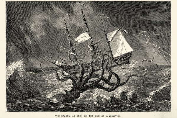 Kraken 11at