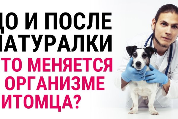 Гидра сайт в тор браузере ссылка