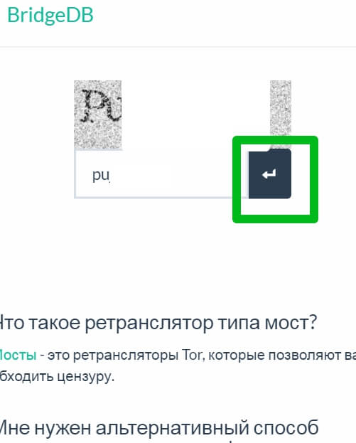 Kraken istand onion